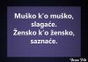 MUŠKO - ŽENSKI ODNOSI (POSTERI) Besno Pile
