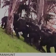 FRANCUSKI SPECIJALCI ŠLAJFUJU UZ BRDO