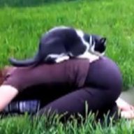 boli-me-djoka-za-jogu