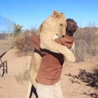 lav-najbolji-drugarii