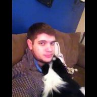 NEVALJALA KUCA! Pogledajte koliko se ova kuca šlihta nakon što je izujedala nov kauč!