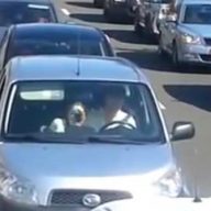 oralni-seks-u-kolima