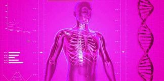 100 zanimljivih činjenica o ljudskom telu
