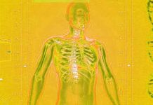 100 zanimljivih činjenica o ljudskom telu