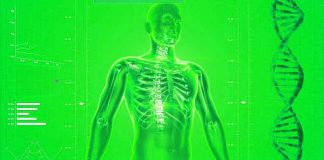 100 zanimljivih činjenica o ljudskom telu