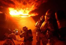 GINISOVA KNJIGA REKORDA: Mali deo ludila ginisova knjiga