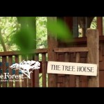 Ova porodica živi na visokoj nozi, ali stvarno! (VIDEO)