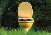 USRANI POSAO: Možete da zaradite 13.000 dolara vršeći veliku nuždu!