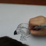 BRAVO! Dečak iz Srbije je novo čudo od deteta!