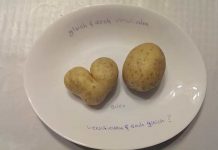 Evo kako će vas krompir naučiti da praštate