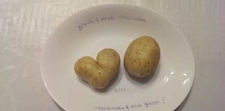 Evo kako će vas krompir naučiti da praštate
