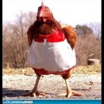 LEPA BRENA: Najnoviji hit iz 1982! MEGA POPULARNO!