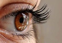 NEVEROVATNO: 50 zanimljivih činjenica o ljudskom oku koje niste znali! ljudskom oku