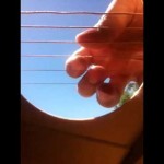 OVO JOŠ NISTE VIDELI: Kako žice gitare “plešu” i vibriraju dok čovek svira! (VIDEO)