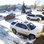 ŠTA RADI OVA!? – Ovako verovatno izgleda vožnja na biljnom tamjanu… (VIDEO)