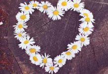 LJUBAVNO PISMO SRPSKOM NARODU