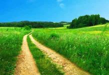 NAJSREĆNIJA ZEMLJA NA SVETU