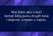 NISI SRBIN