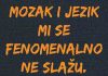 AKCIJA PRONAĐI SVOJ STATUS: 28 postera za plakanje od smeha