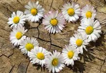 Moćne ljubavne izjave: Žrtvovaću se, poštovaću te, oprostiću ti… ljubavne izjave