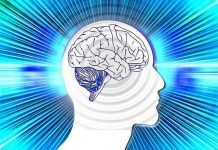 REVOLUCIONARNI PROBOJ U MEDICINI: Naučnici otkrili kako da zaustave smrt!