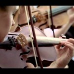 SVE JE MOGUĆE: Muzikom dovode kitove na površinu (VIDEO)