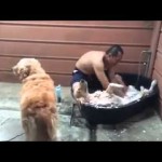 UŽIVANJE: Tako, tako, tu me čeprkaj! Kuca koja OBOŽAVA kupanje! (VIDEO)