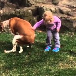 Devojčica ohrabruje kucu da kaki – preslatko i presmešno (video)