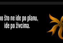 NE IDE PO PLANU