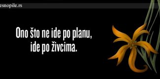 NE IDE PO PLANU