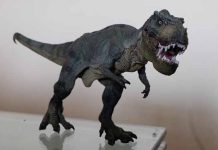 Doktor izvadio pacijentkinji DINOSAURUSA iz VAGINE!