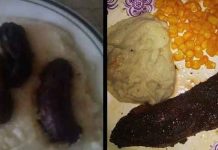 KULINARSKI FEJLOVI: Sa šporeta pravo u đubre!