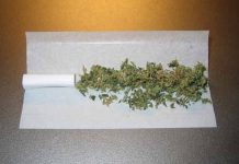 kompanija nudi posao iskusnim pušačima trave