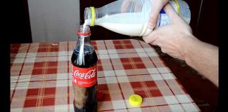 FUUUJ ODVRATNO: Ne gledajte ovo ako ste nekada popili Koka Kolu!!! (video)