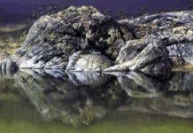 Nađite ženu i dete na ovoj slici