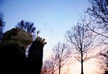 BITI VOLJEN NE ZNAČI NIŠTA