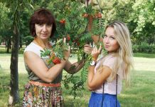 DRAGA MAMA, LUPAŠ KAO OTVOREN PROZOR NA PROMAJI: 8 najgorih ljubavnih saveta! DRAGA MAMA, LUPAŠ KAO OTVOREN PROZOR NA PROMAJI: 8 najgorih ljubavnih saveta!