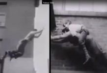 Parkur iz 1930. godine