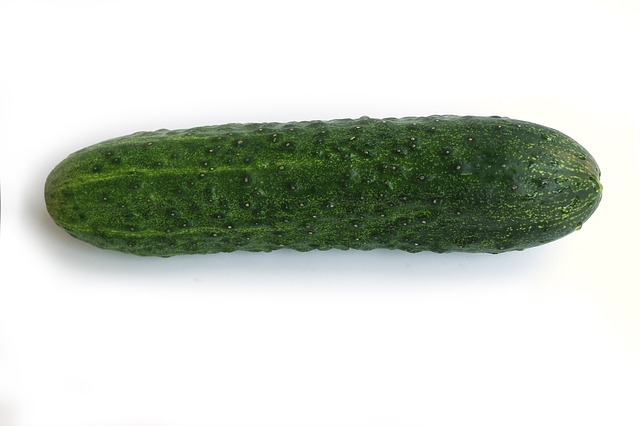 cucumber-845953_640