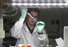 Ruski naučnik pronašao ELIKSIR VEČNOG ŽIVOTA