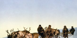 6 eskimskih mudrosti! Narodne izreke i životne istine