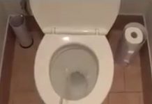 URNEBESNO: Evo kako žene misle da muškarci koriste WC (VIDEO)