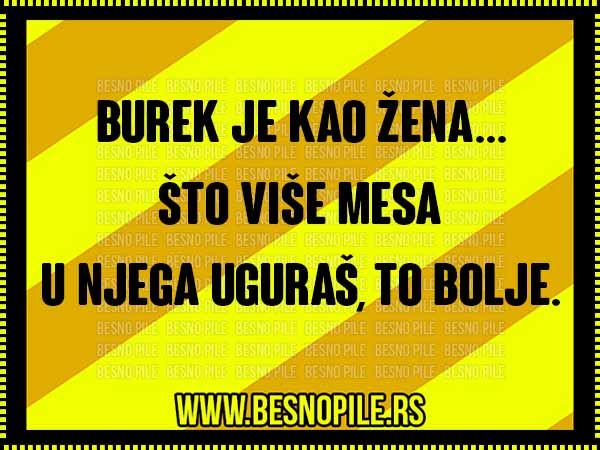 besnopile posteri