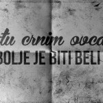 medju-crnim-ovcama-najbolje-je-biti-beli-vuk