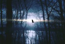 SUTRA JE BOGOJAVLJENSKA NOĆ: Ako dočekate ponoć budni, dogodiće vam se DIVNA STVAR!