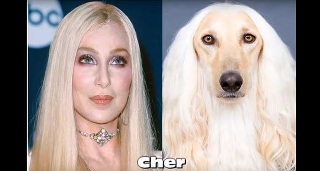 Cher