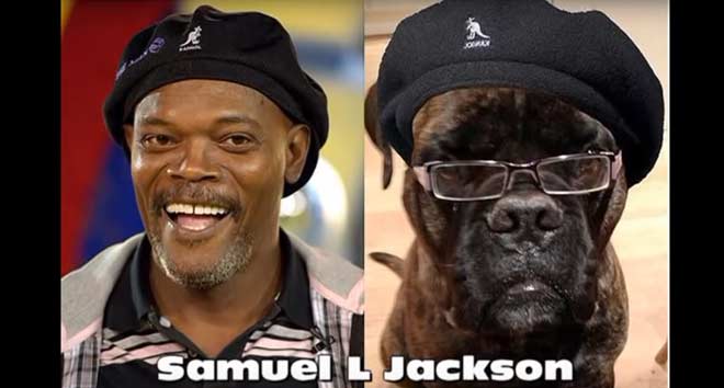 Samjuel-L-Jackson