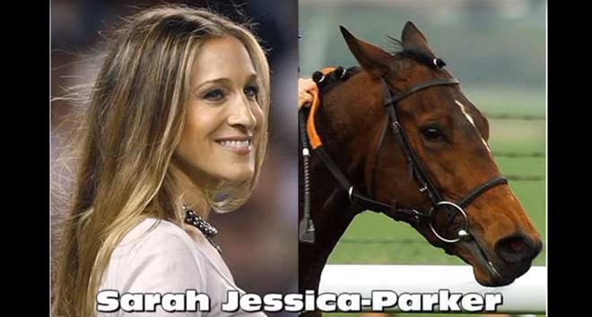 Sarah-Jessica-Parker