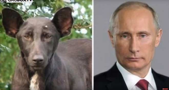 pUTIN