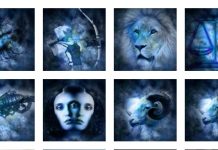 Horoskopski elementi